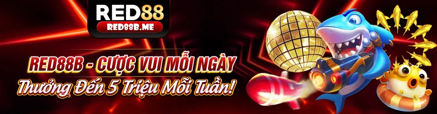 Rút tiền nhanh chóng và tỷ lệ cược cao Xoxo66
